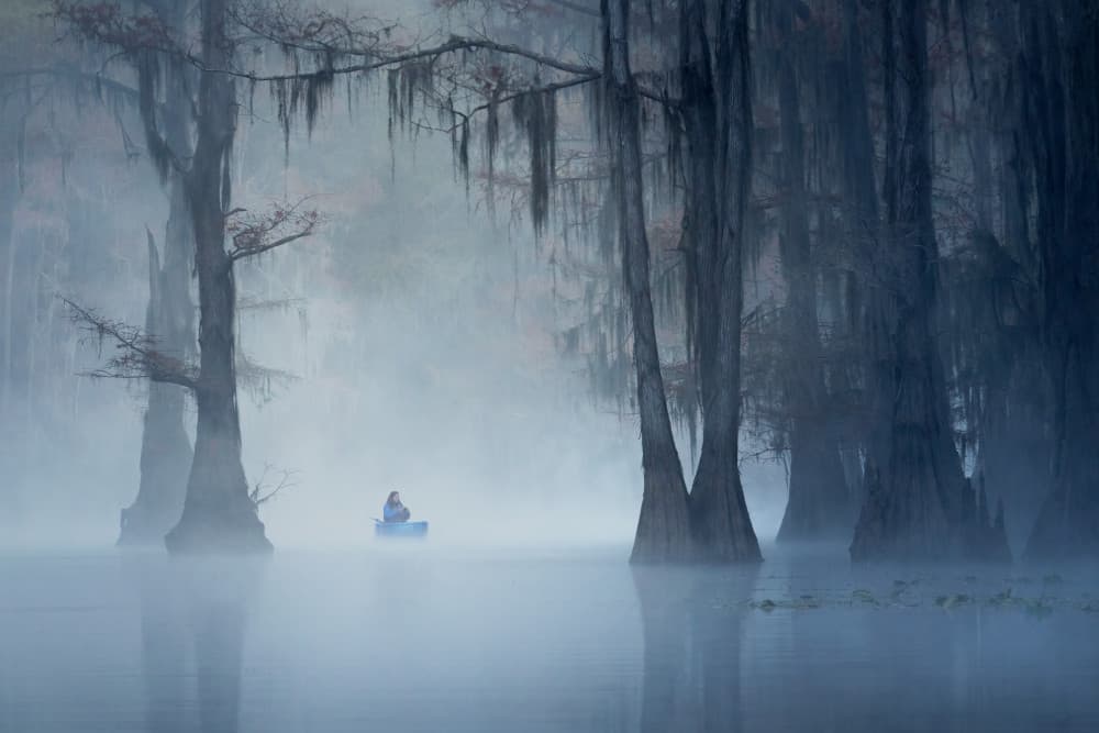 Misty Cypress Canoe by Leah Xu — canvas wall art