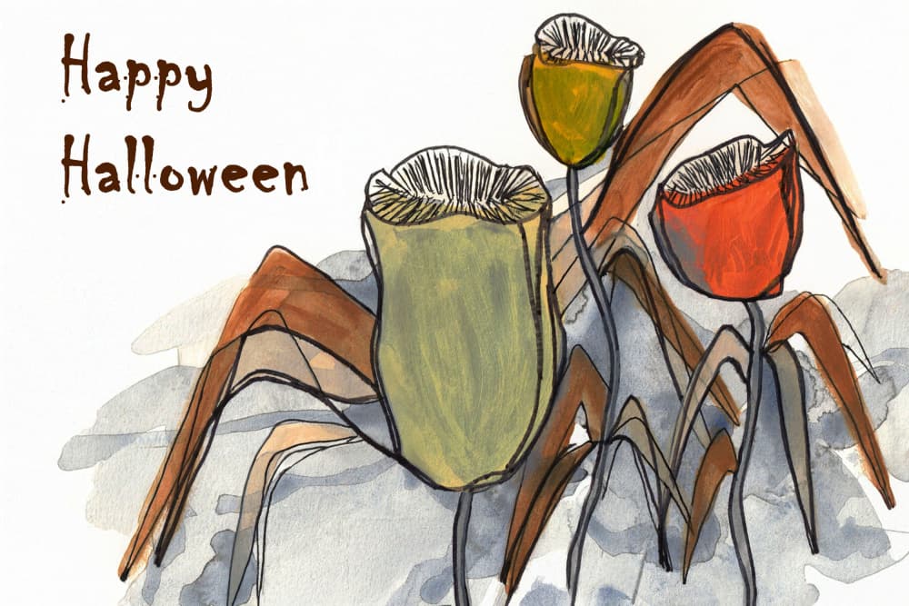 Happy Halloween Botanicals by Lori Ann Folz — canvas wall art