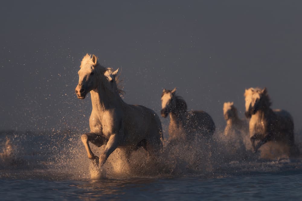 Galloping White Horses by Rostovskiy Anton — canvas wall art