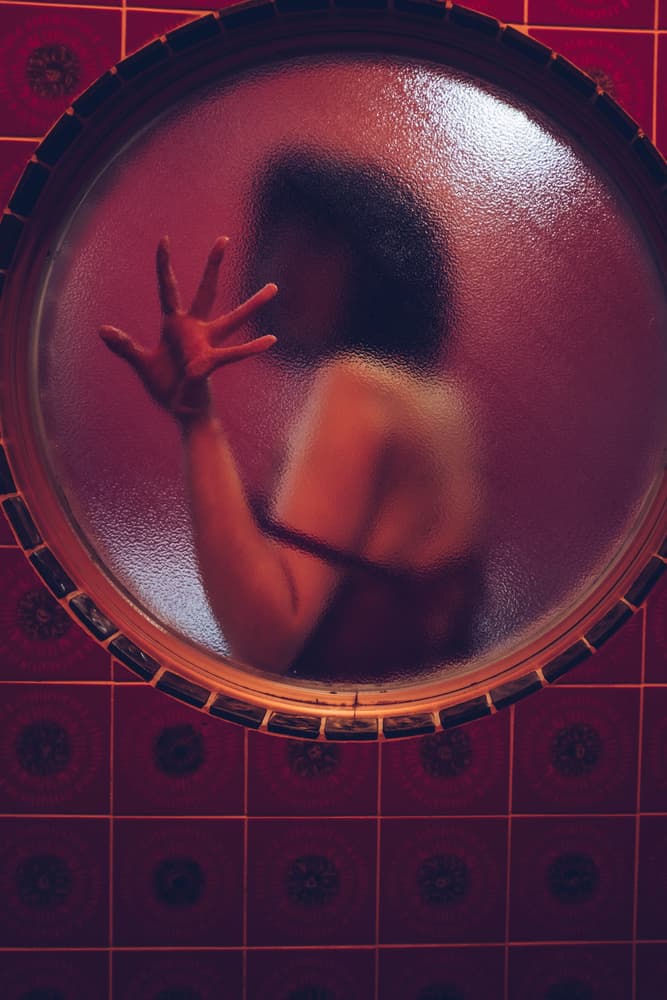 Mysterious Red Silhouette by Takaaki Ishikura — canvas wall art