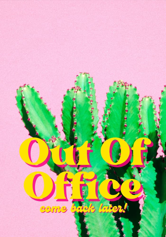 Vibrant Green Cactus by Athene Fritsch — canvas wall art