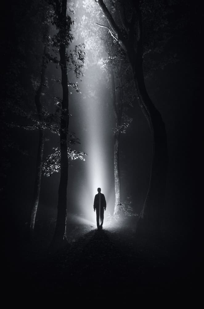 Man in Forest Light by PhotoCosma — canvas wall art