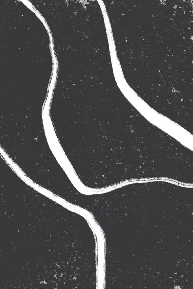 Monochrome Paths by uplusmestudio — canvas wall art