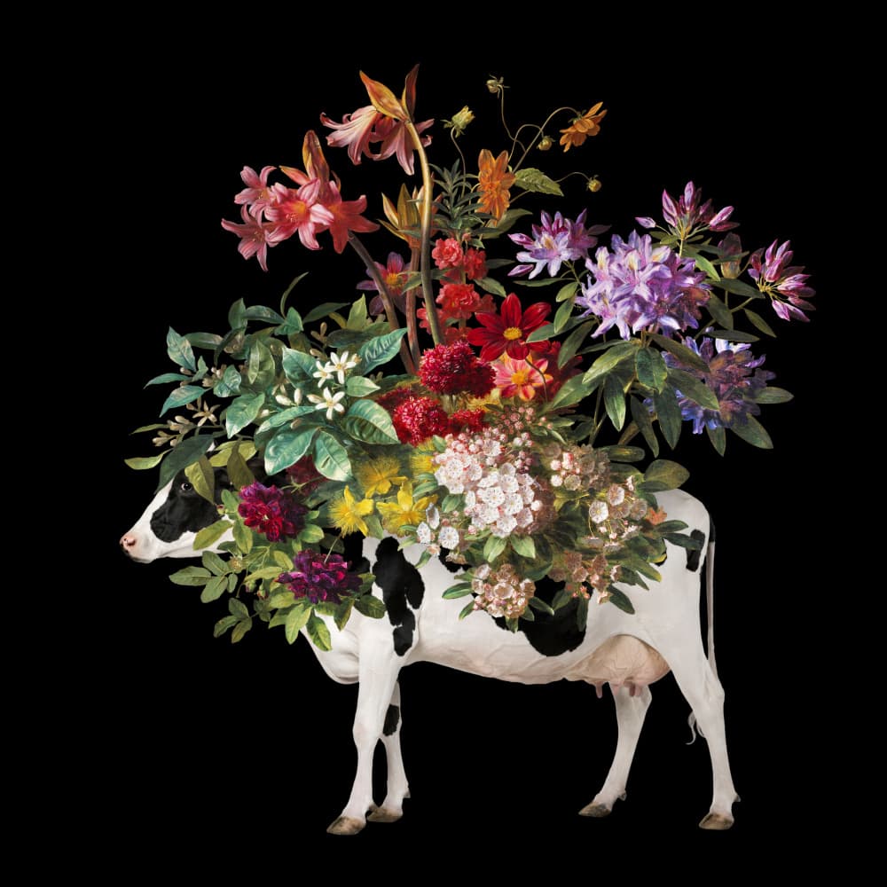 Vibrant Floral Cow by Marja van den Hurk — canvas wall art