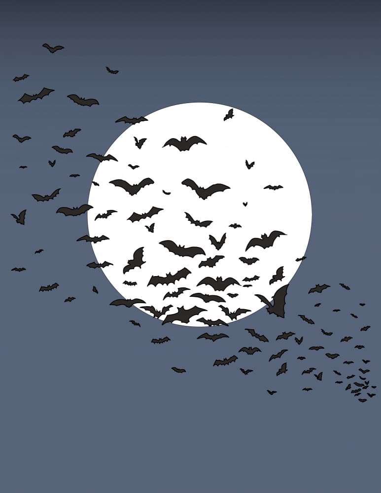 Bats Under Full Moon by Nicholas — canvas wall art