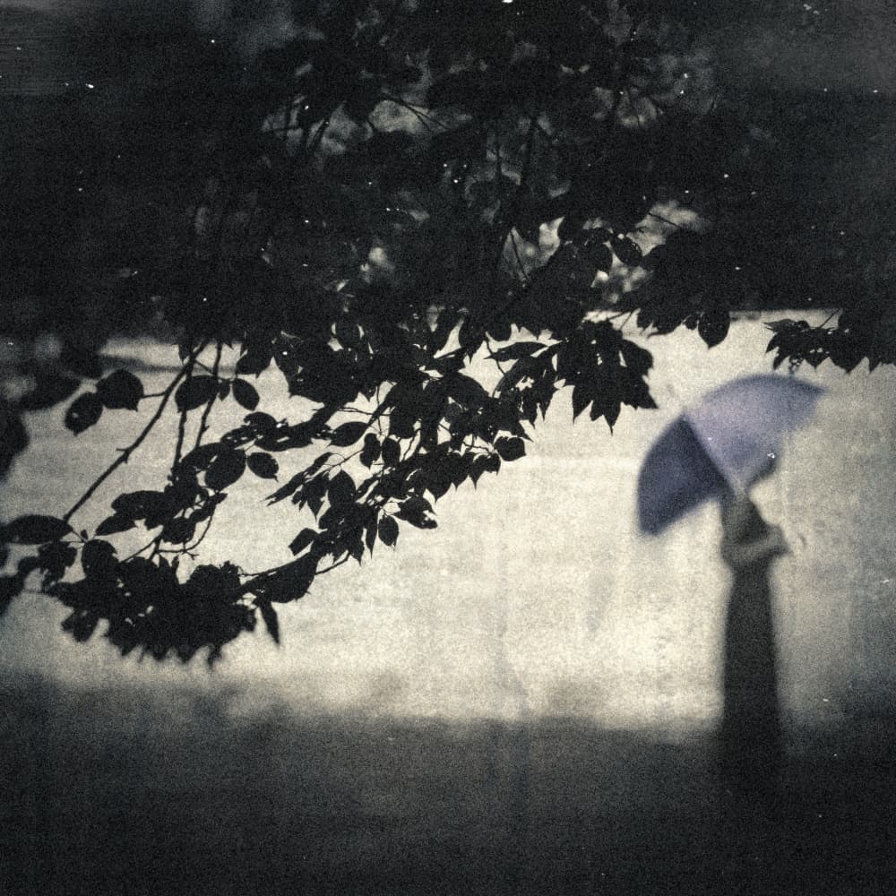 Rainy Day Umbrella by Teruhiko Tsuchida — canvas wall art