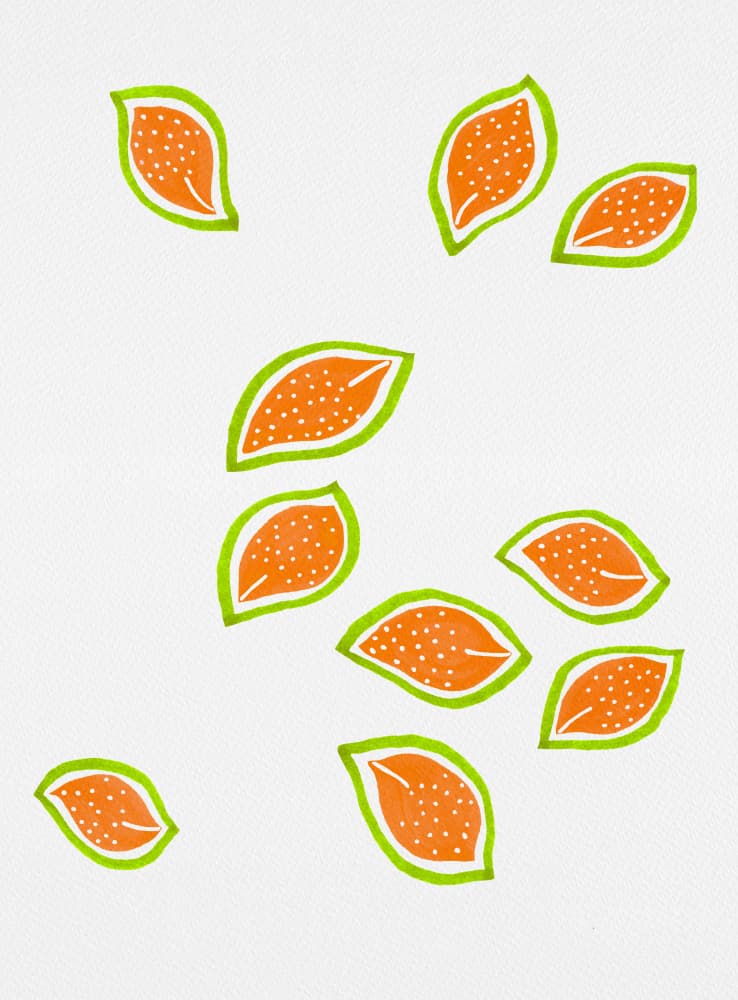 Fresh Orange Slices by Michele Channell — canvas wall art