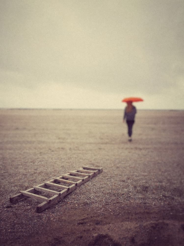 Way by Emilian Avramescu — canvas wall art