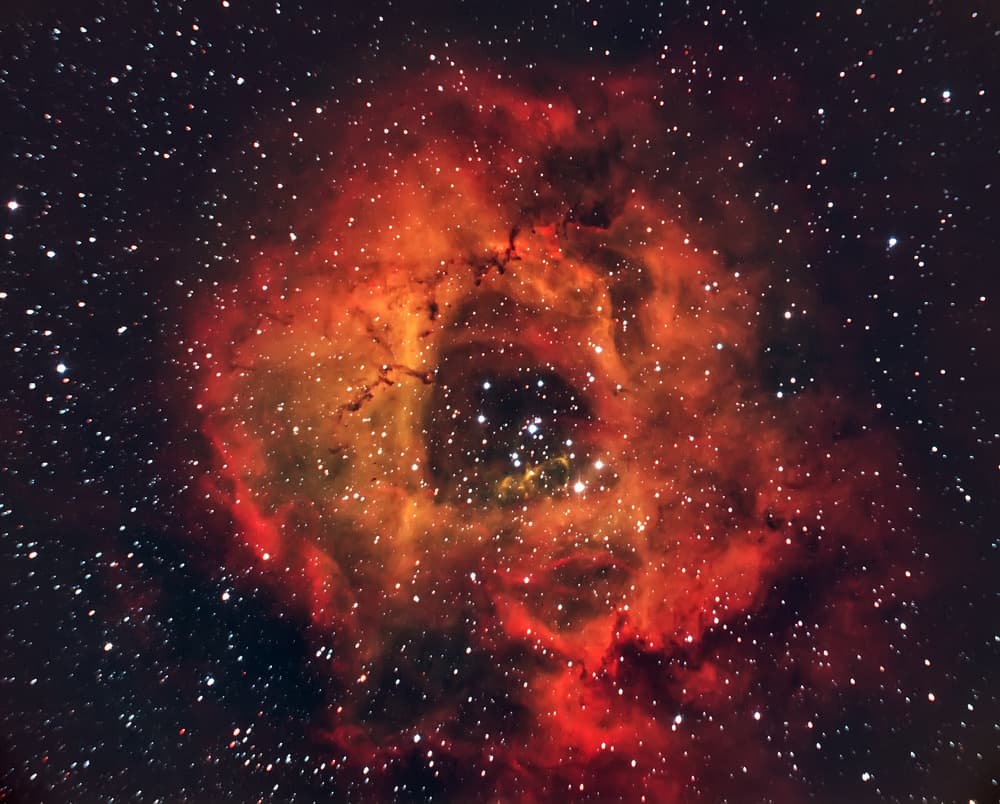 Cosmic Rose Nebula by Andrea Auf dem Brinke — canvas wall art