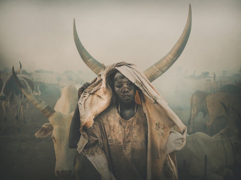 Dinka Herder and Cattle by Svetlin Yosifov — canvas wall art