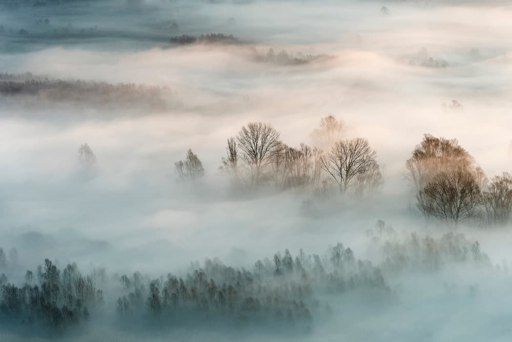 Serene Misty Landscape by Marco Galimberti — canvas wall art