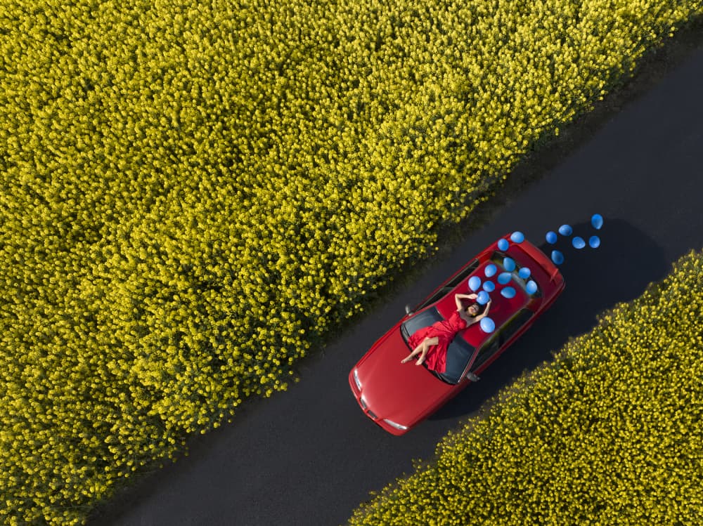 Joyful Yellow Field Journey by Ovi D. Pop — canvas wall art