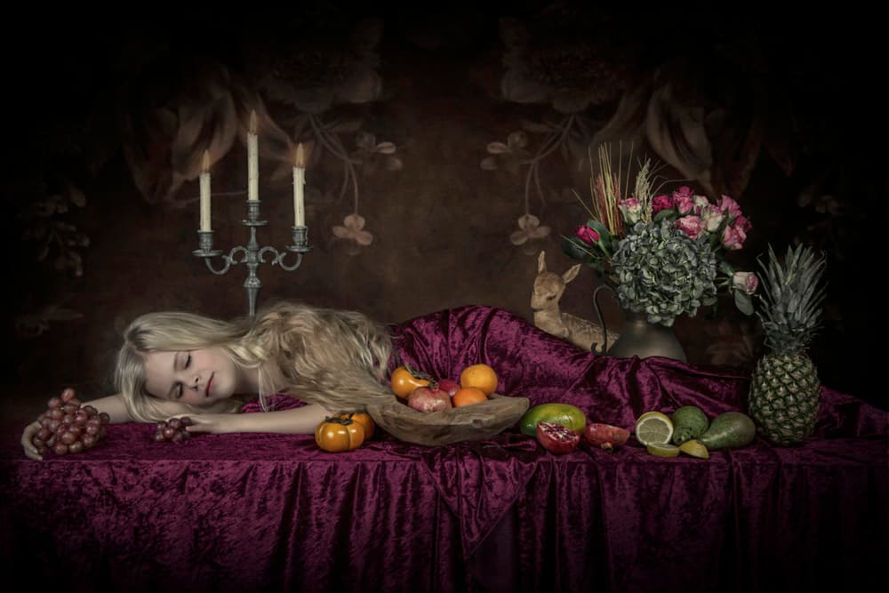 Velvet Dream Still Life by Carola Kayen-Mouthaan — canvas wall art