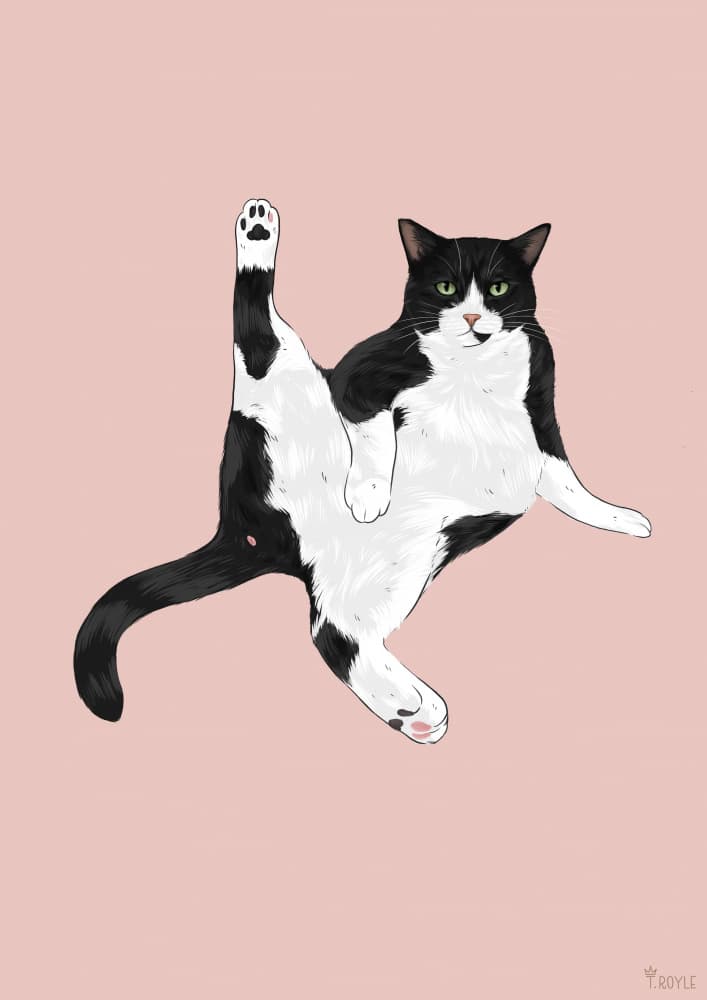 Funny Cat Stretch by Tara Royle — canvas wall art