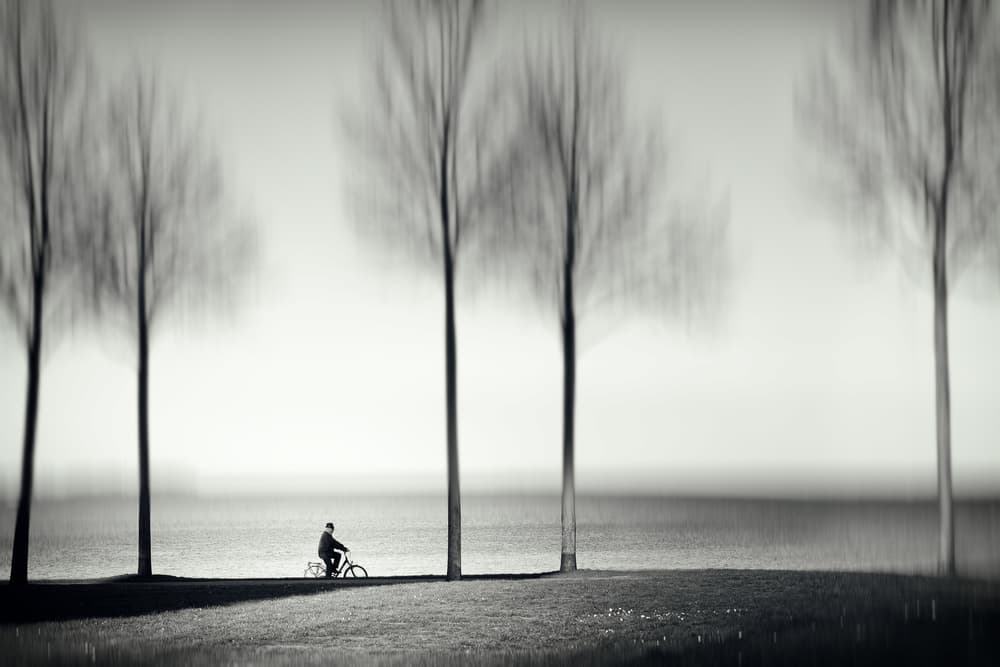Monochrome Lone Cyclist by Ina Tänzer — canvas wall art