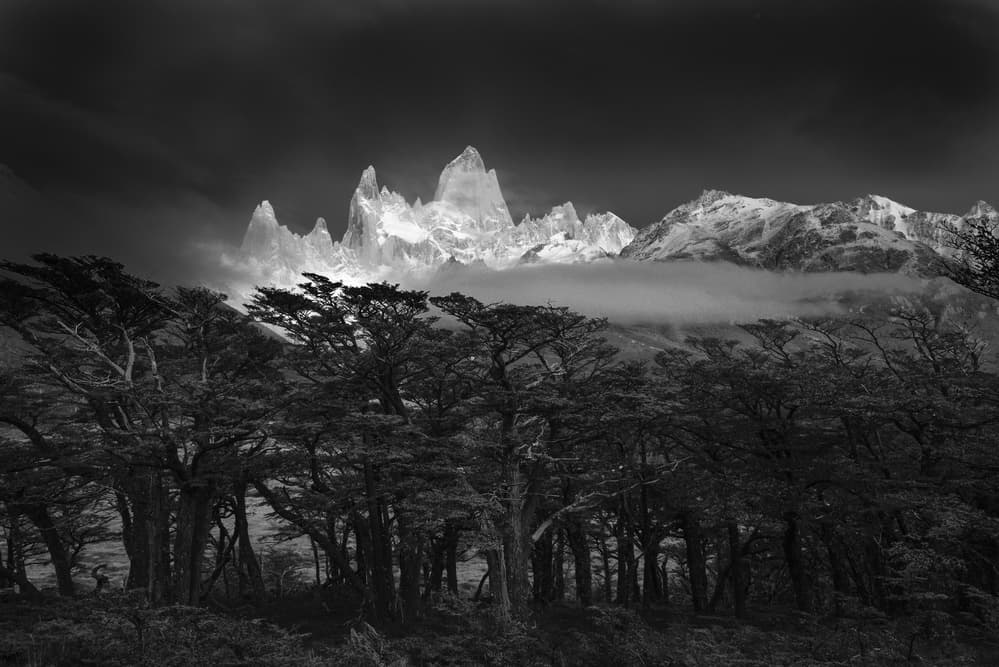 Dramatic Patagonia Peaks by Lucian Constantin — canvas wall art