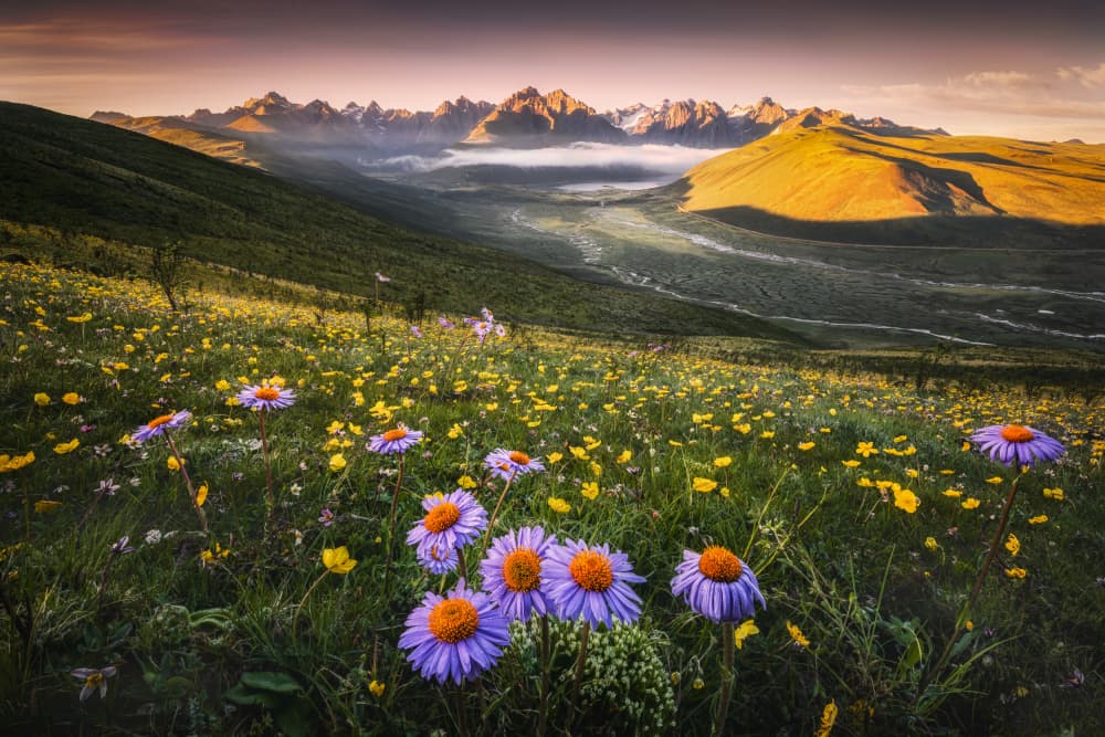 Dawn at Fairy Lake by Yuan Cui — canvas wall art