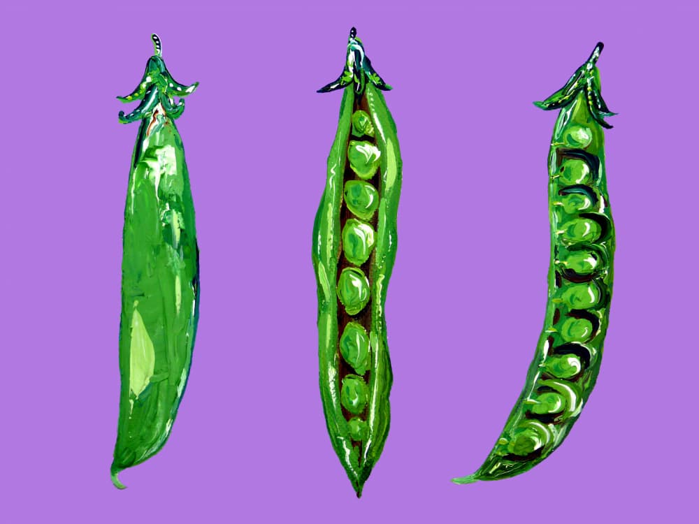 Vibrant Green Peas by Alice Straker — canvas wall art