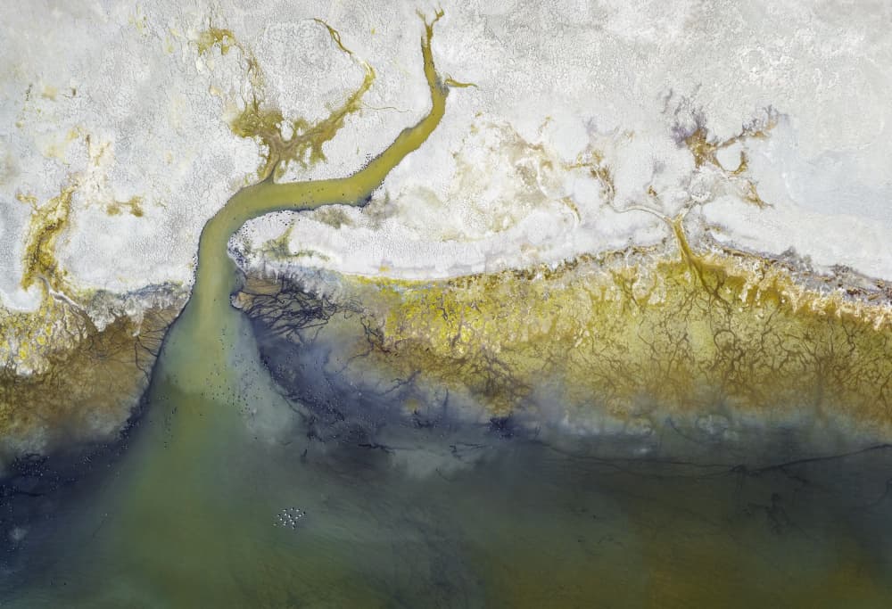 Abstract River Flow by Shenshen Dou — canvas wall art