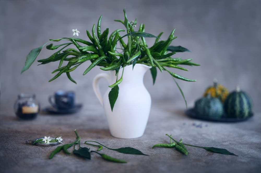 Green Peppers Still Life by Takiko Hirai — canvas wall art