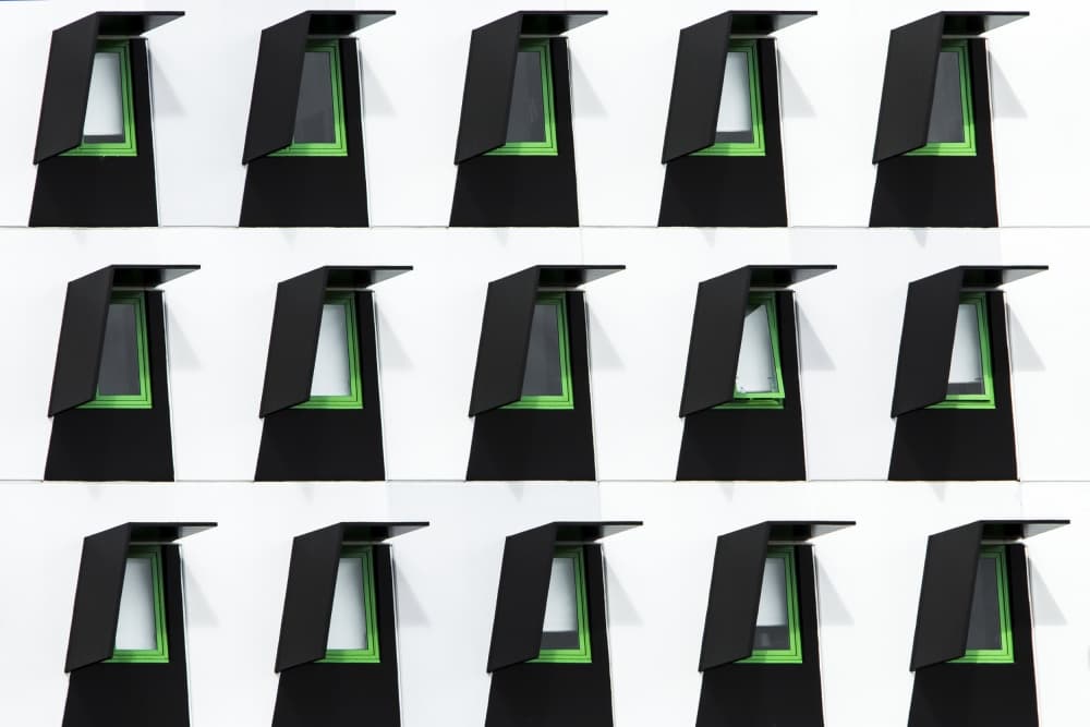 Sleek Green Window Grid by Renee Doyle — canvas wall art