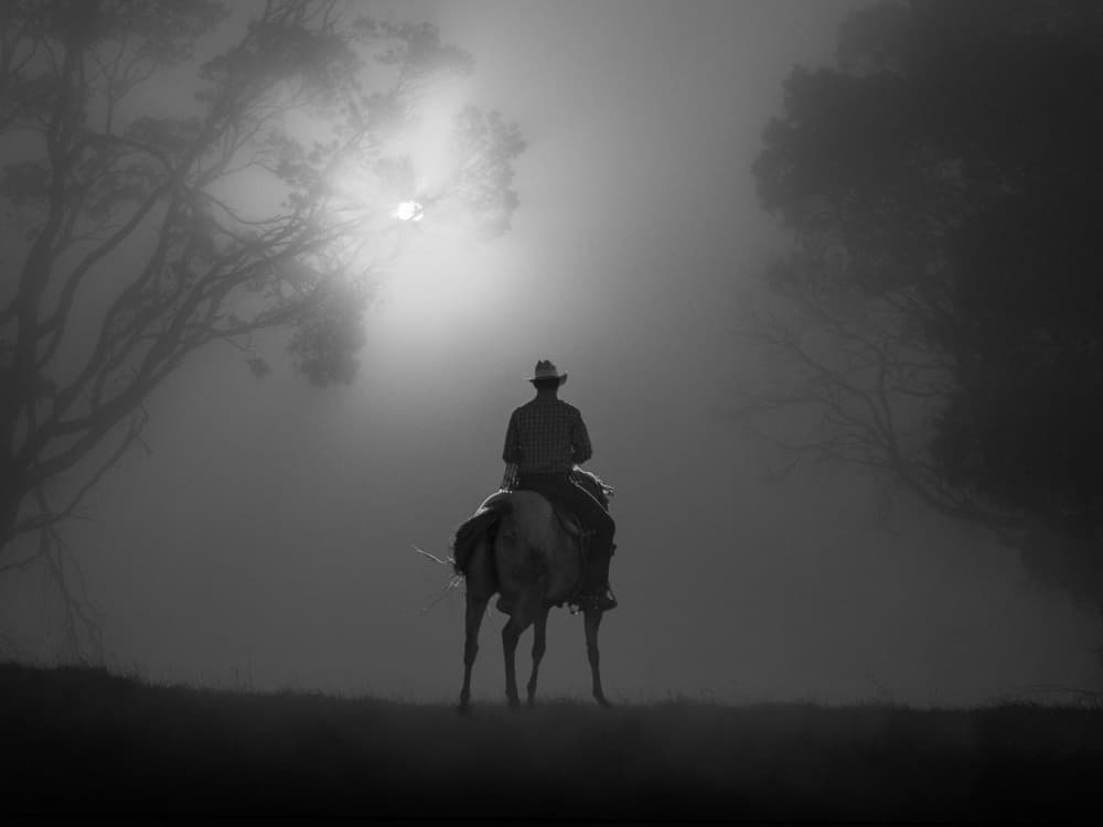 Misty Morning Rider by Frank Ma — canvas wall art