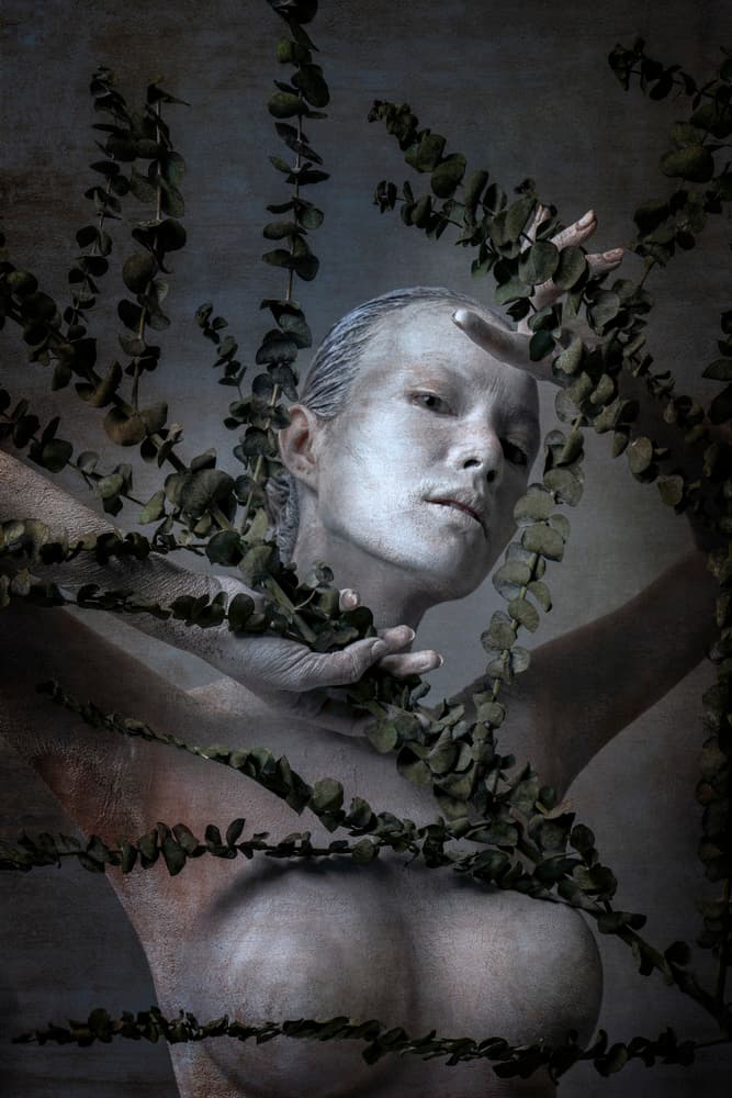 Silver Woman Eucalyptus by Itthipol Deemee — canvas wall art