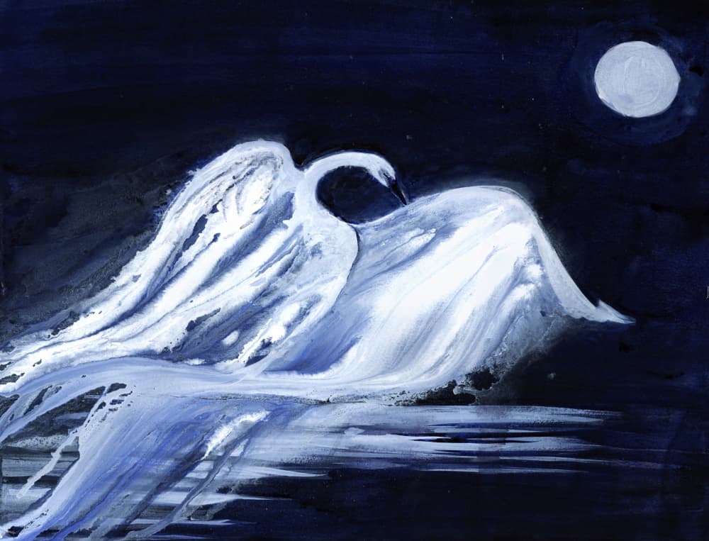 Moonlit Swan by RodMacIver — canvas wall art