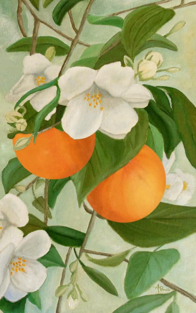 Orange Blossom Branch by Angeles M. Pomata — canvas wall art