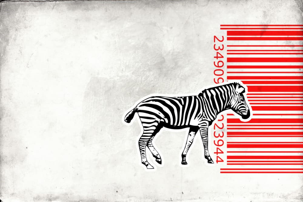 Modern Zebra Barcode by Rafal Kulik — canvas wall art