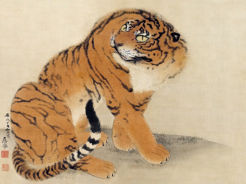 Sitting Tiger (1777) by Maruyama Ōkyo — canvas wall art