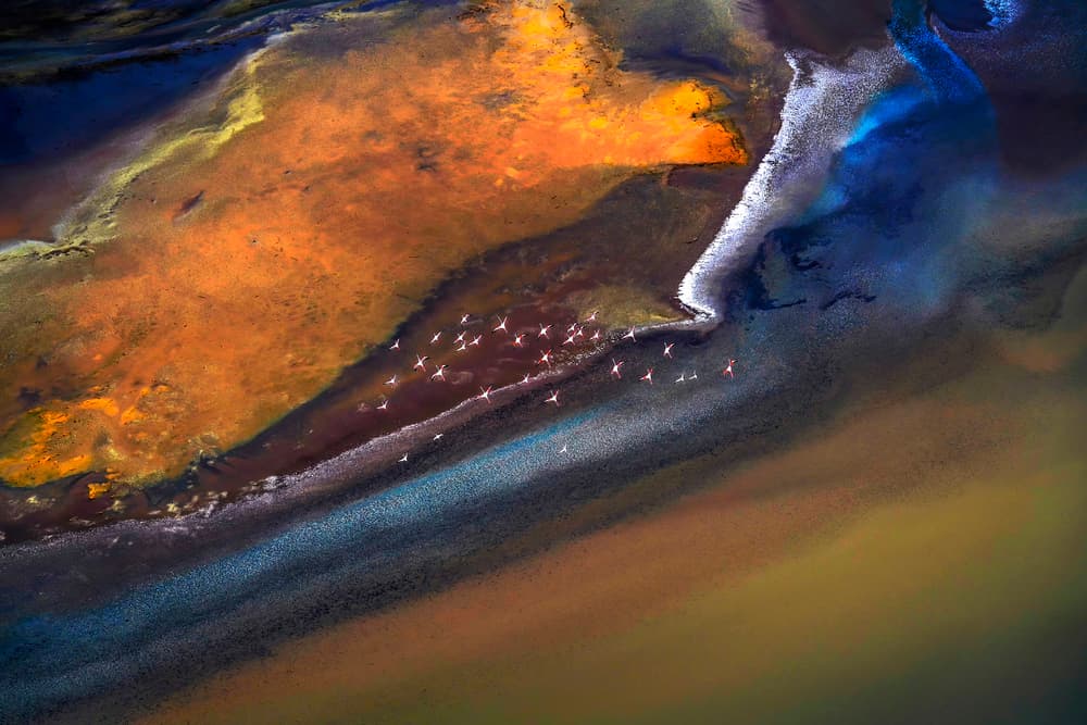 Abstract Lake Flamingos by Raymond Ren Rong Liu — canvas wall art