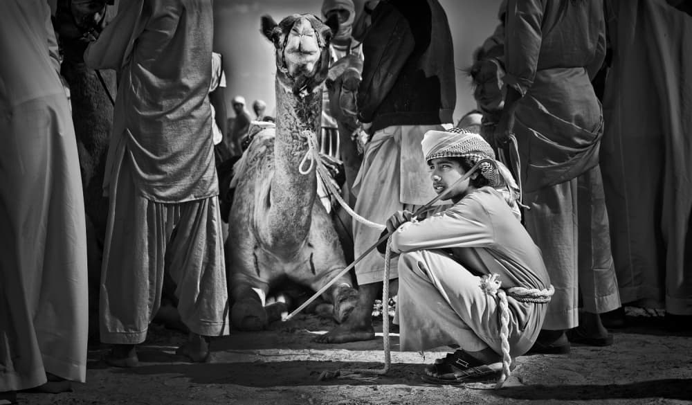 Boy and Camel Market by Rami Al Adwan — canvas wall art