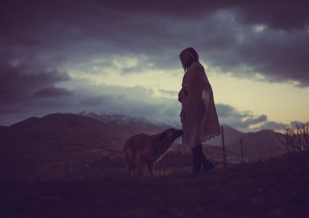 Mountain Dusk Companions by Yuri Shepelev — canvas wall art