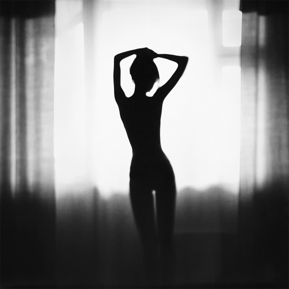 Graceful Window Silhouette by Boris Belokonov — canvas wall art