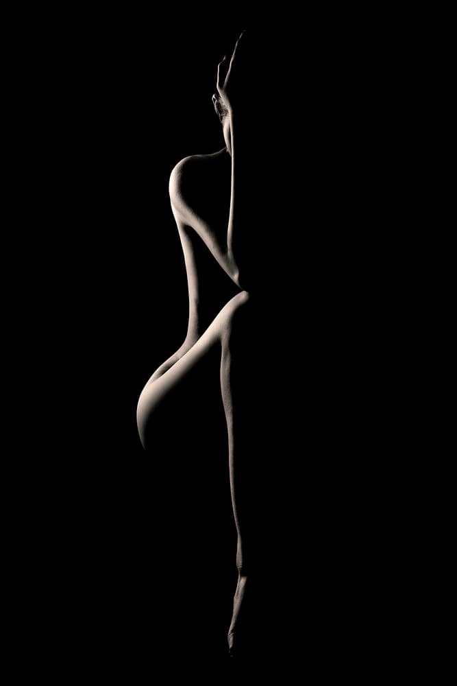 Elegant Nude Silhouette by Heru Sungkono — canvas wall art