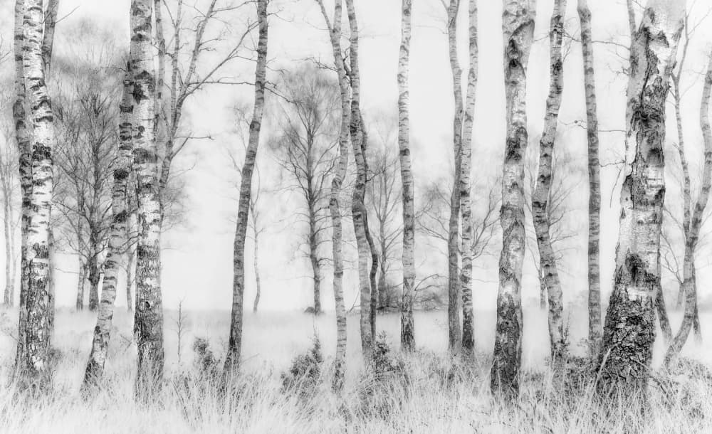 Black and white by Nel Talen — canvas wall art