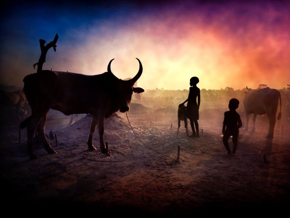 African Sunset Silhouettes by Svetlin Yosifov — canvas wall art