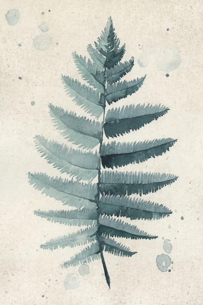Delicate Fern Watercolor by Rosana Laiz Blursbyai — canvas wall art