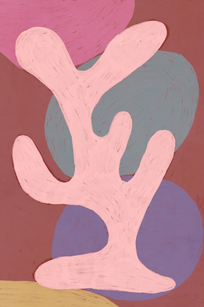 Blushcoralno01 by Treechild — canvas wall art
