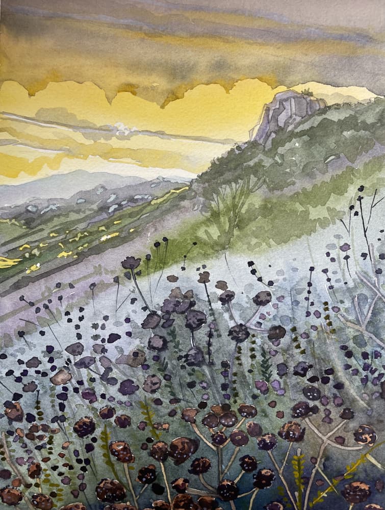 Mountain Sunset Wildflowers