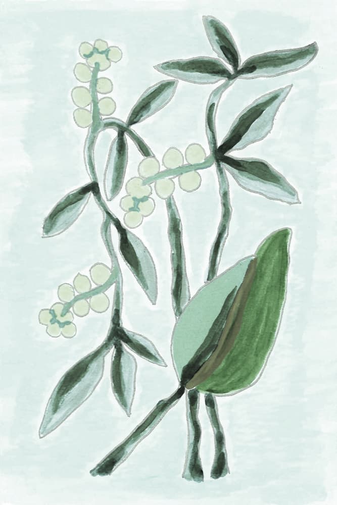 Green Botanical Watercolor by Lori Ann Folz — canvas wall art