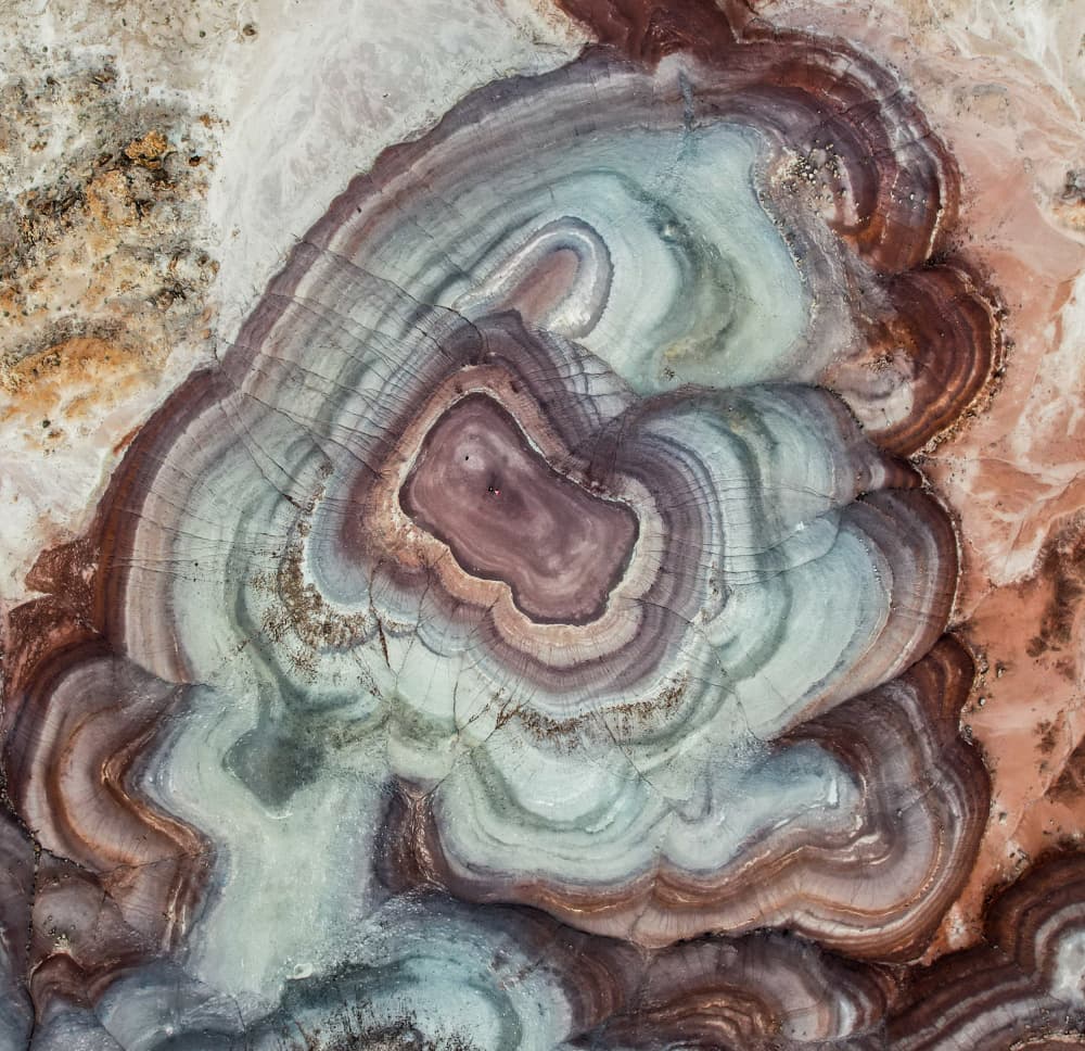 Earthy Agate Layers by Rui Wang — canvas wall art