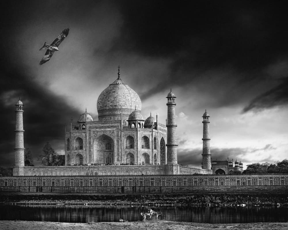 Dramatic Taj Mahal Flight by Piet Flour — canvas wall art