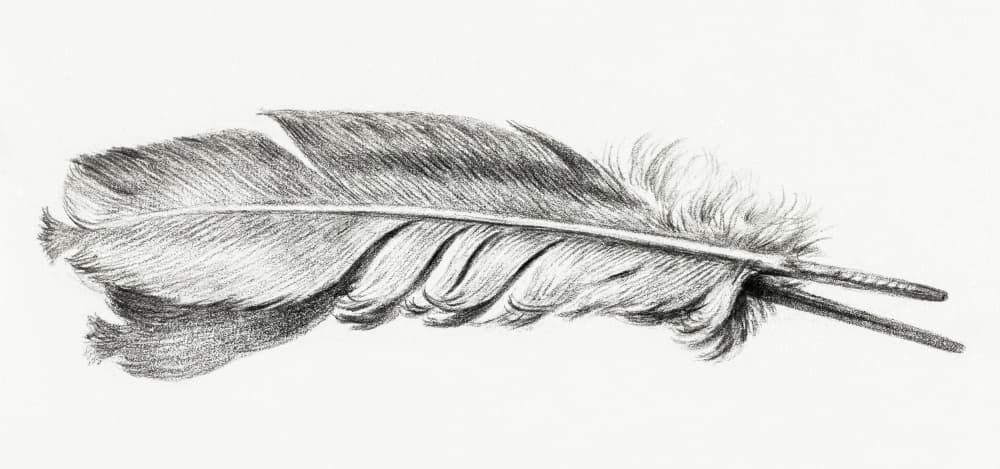 Feather by Jean Bernard — canvas wall art