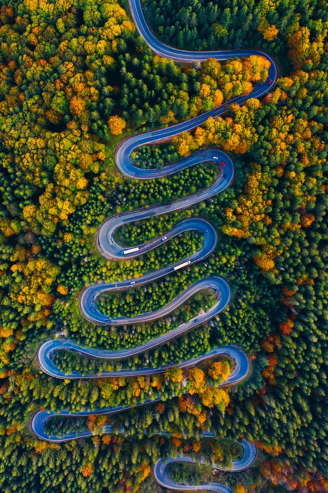 Winding Autumn Road by Angyalosi Beáta — canvas wall art