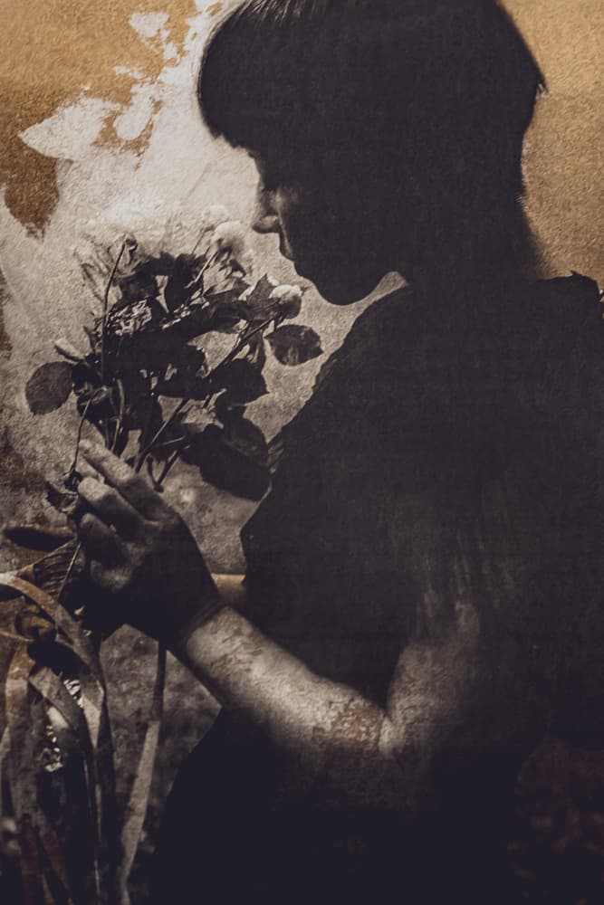 Quiet Rose Moment by Kurosaki Sangan — canvas wall art