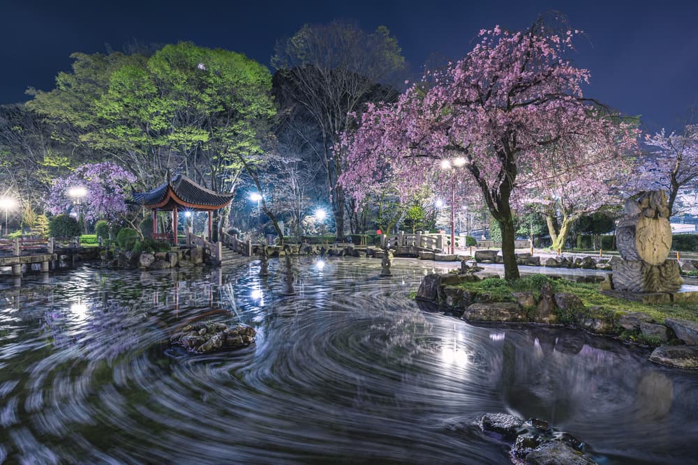 Cherry Blossom Night Garden by Takeshi Mitamura — canvas wall art