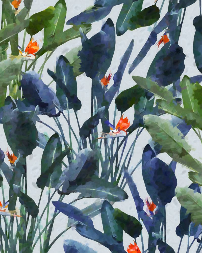 Tropical Paradise Blooms