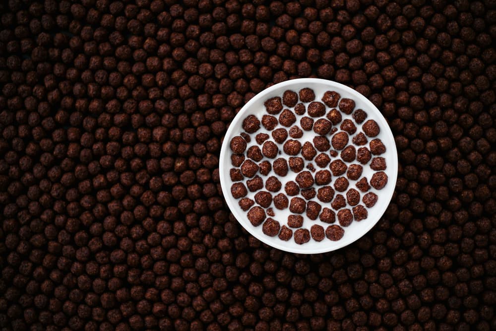 Chocolate Cereal Delight by Karina Aleksandrova — canvas wall art